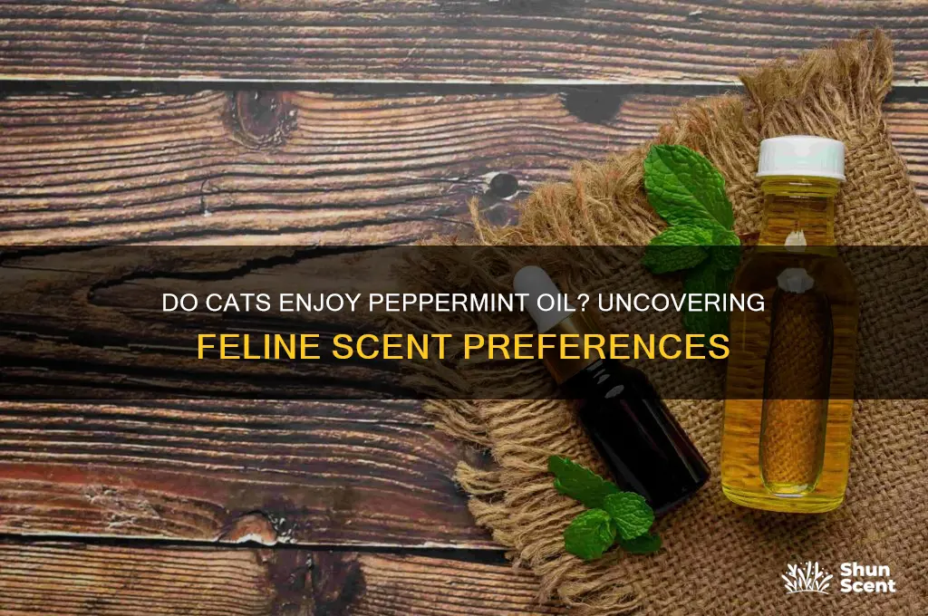 do cats like peppermint oil scent