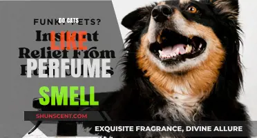 Do Perfumes Attract Cats?