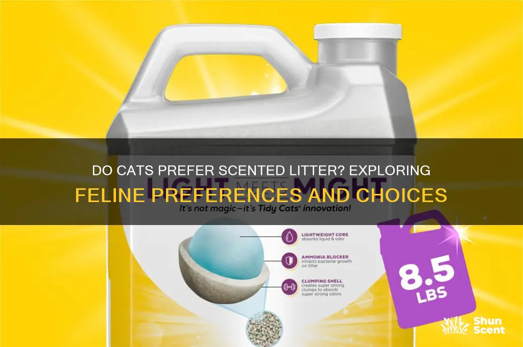 do cats like scented litter