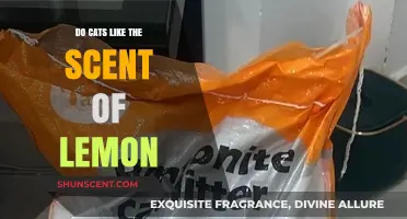 Do Cats Like Lemon Scent? Uncovering Feline Preferences and Reactions
