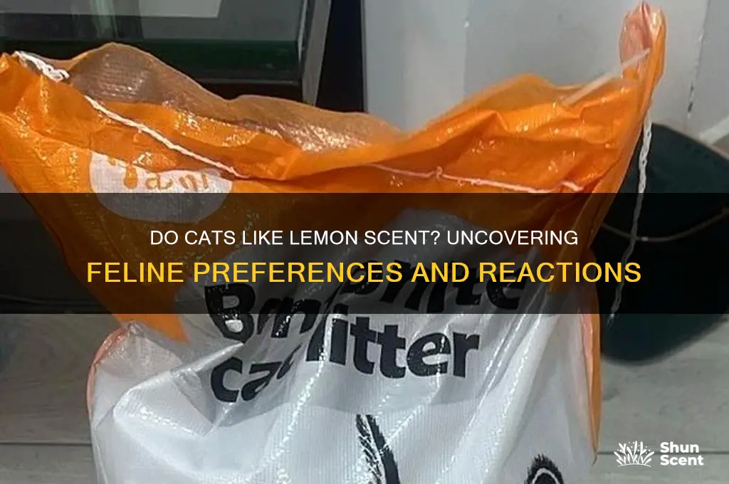 do cats like the scent of lemon