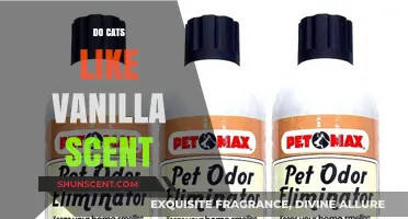Do Cats Enjoy Vanilla Scent? Exploring Feline Preferences and Reactions