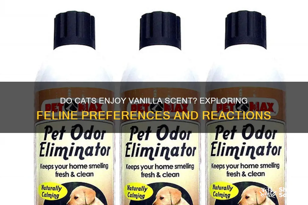 do cats like vanilla scent