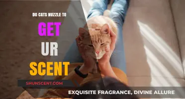 Why Cats Nuzzle: Understanding Their Scent-Marking Behavior and Bonding