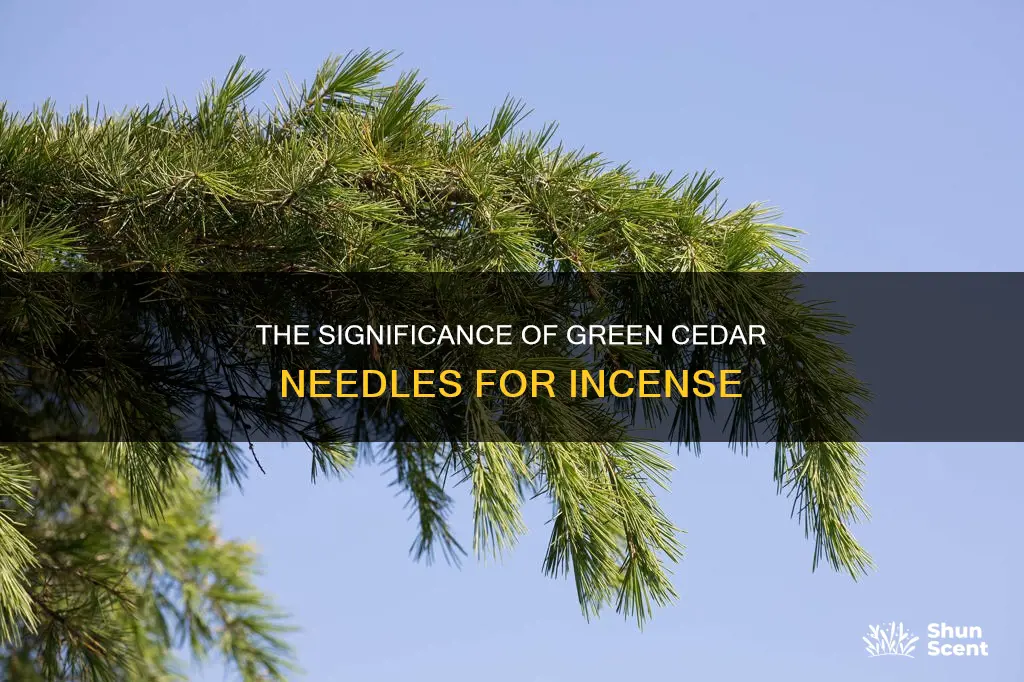 do cedar needles need to be green for incense