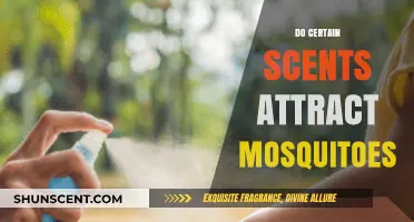 Do Certain Scents Attract Mosquitoes? Uncovering the Smelly Truth