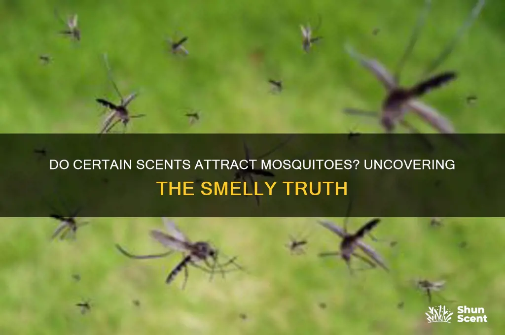 do certain scents attract mosquitoes