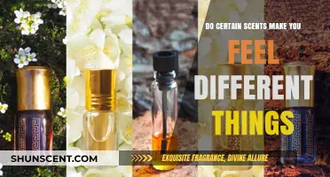 Scents and Emotions: How Aromas Influence Your Mood and Feelings