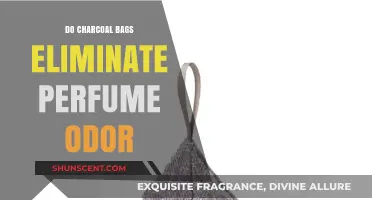 Charcoal Bags: Effective Odor Eliminators or Just Hype?