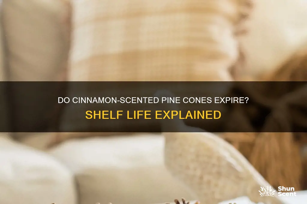 do cinnamon scented pine cones go bad