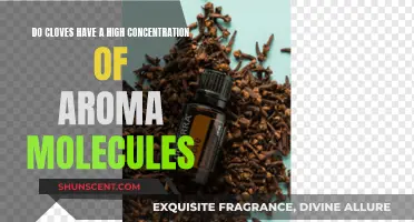 Clove's Potent Aroma: Unlocking the Power of Aroma Molecules