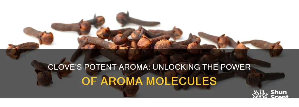 do cloves have a high concentration of aroma molecules