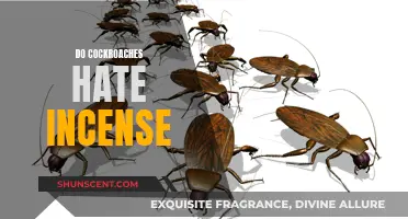 Cockroaches and Incense: A Pest-Repelling Fragrance?