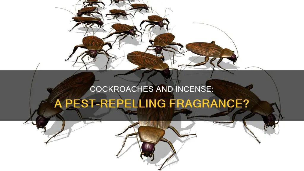 do cockroaches hate incense