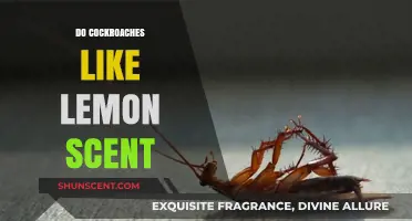 Do Cockroaches Like Lemon Scent? Unraveling the Myth and Facts