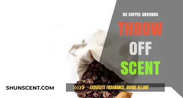 Can Coffee Grounds Mask Scents? Unveiling the Truth Behind the Myth