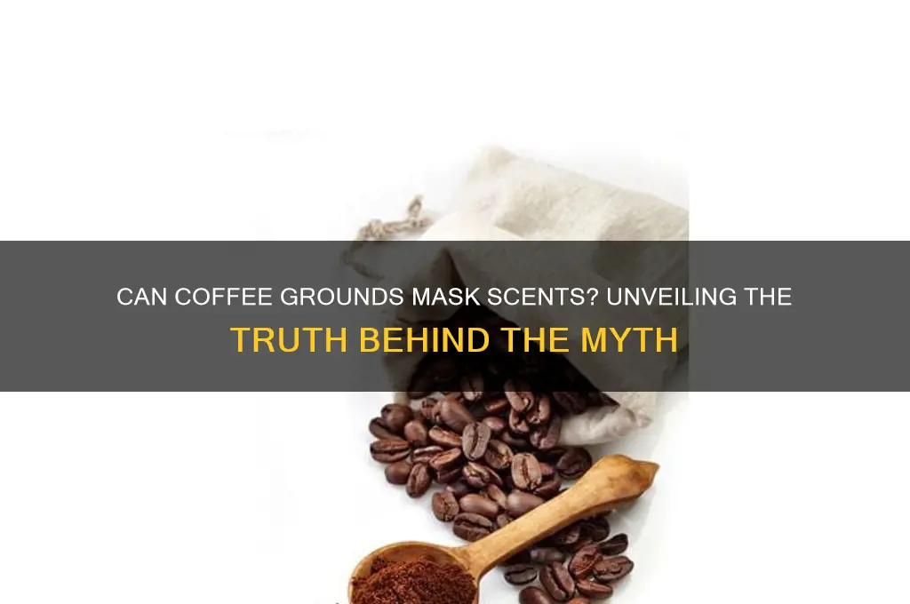 do coffee grounds throw off scent