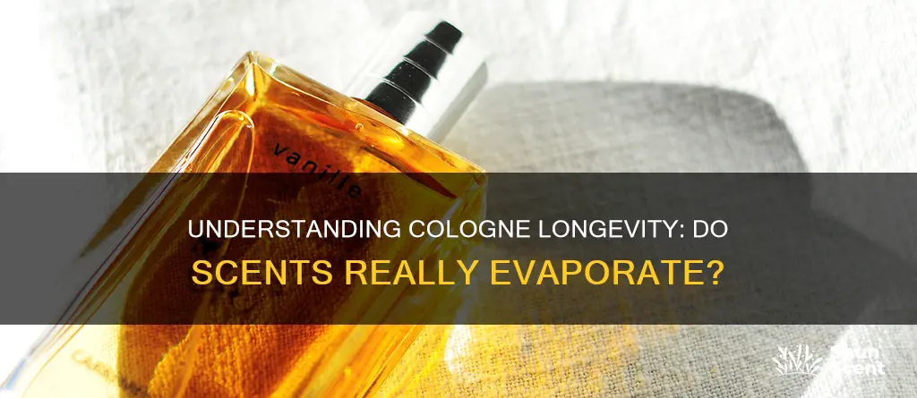 do colognes evaporate