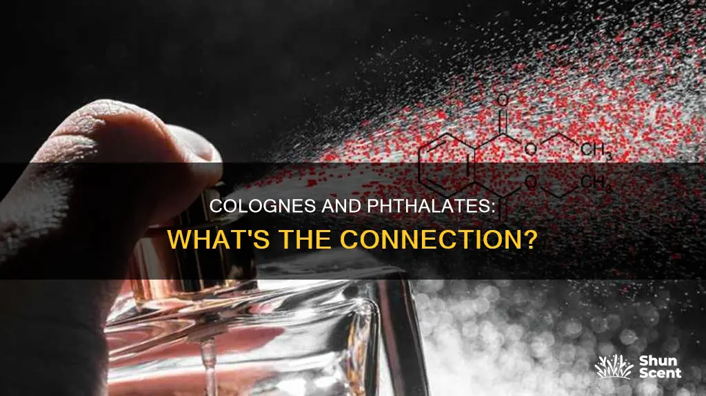 do colognes have phthalates