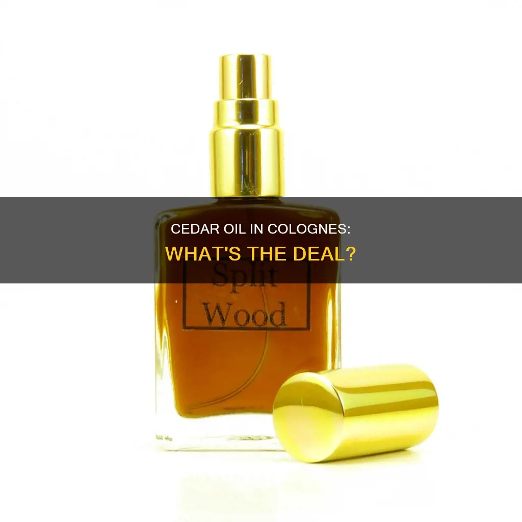 do colognes that have cedar notes have cedar oil