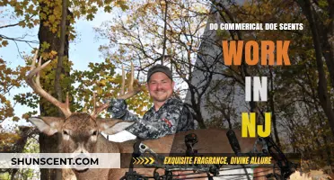 Do Commercial Doe Scents Attract Deer Effectively in New Jersey?