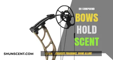 Do Compound Bows Hold Scent? Uncovering the Truth for Hunters
