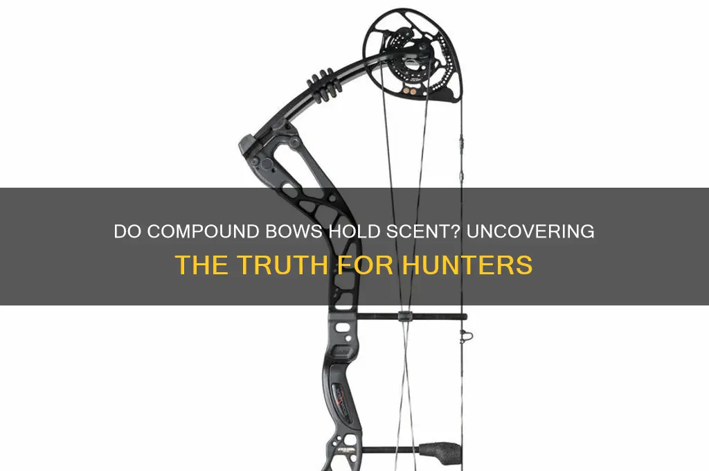 do compound bows hold scent