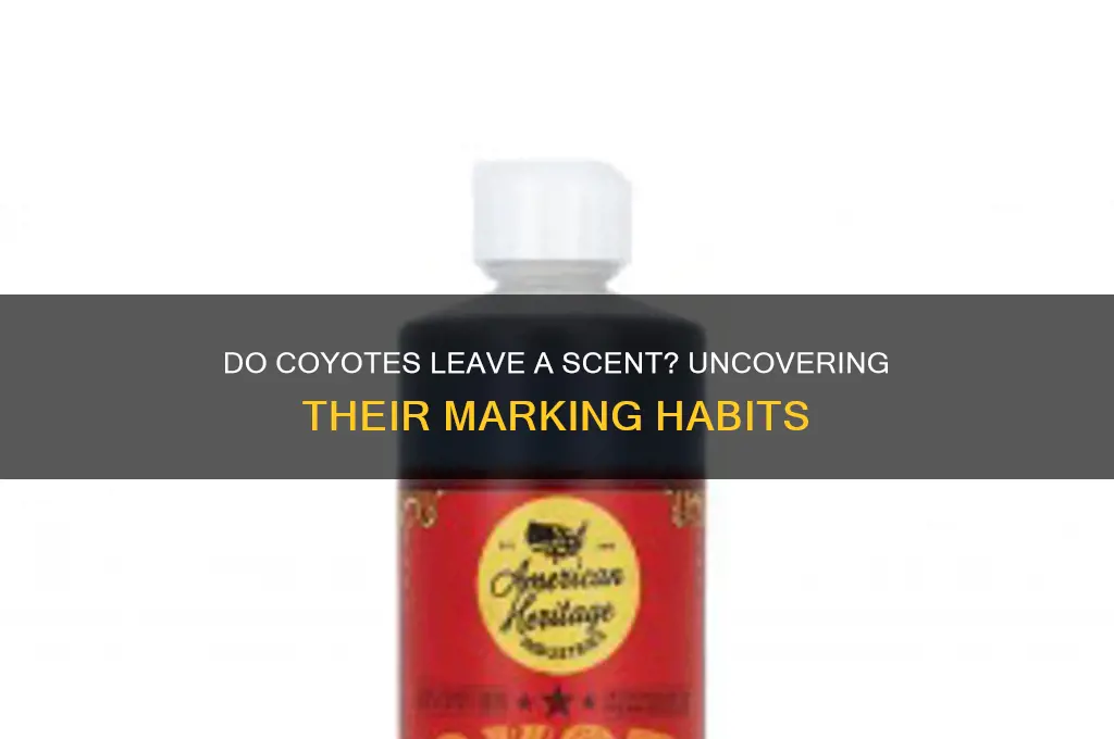do coyotes leave a scent