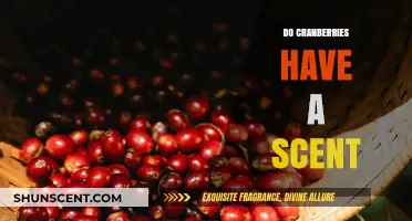 Unveiling the Aromatic Mystery: Do Cranberries Have a Scent?