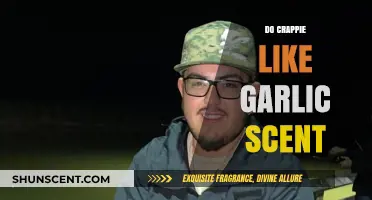 Does Garlic Scent Attract Crappie? Uncovering the Truth for Anglers