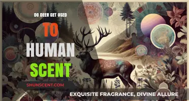 Can Deer Adapt to Human Scent? Uncovering Wildlife-Human Interactions