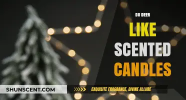 Do Deer Like Scented Candles? Uncovering the Truth Behind the Myth