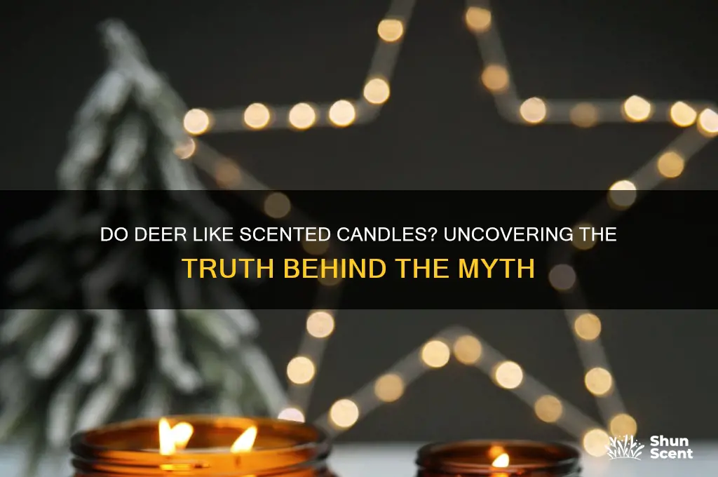 do deer like scented candles