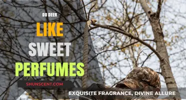 Sweet Scents: Do Deer Like Perfumes?