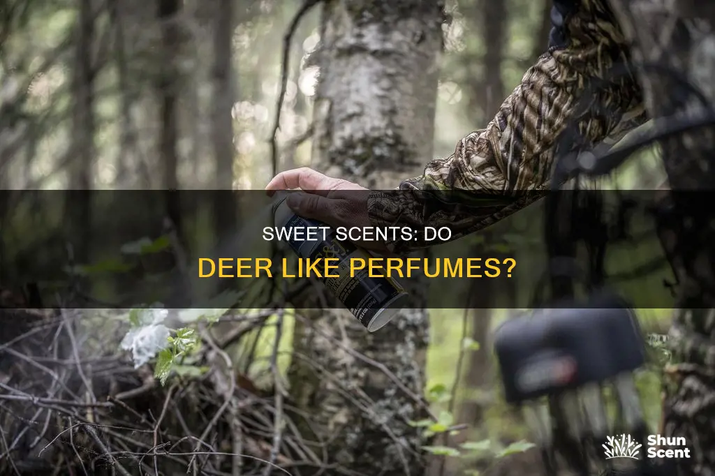 do deer like sweet perfumes