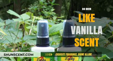 Vanilla Scent: A Deer Attractant or Just a Myth?