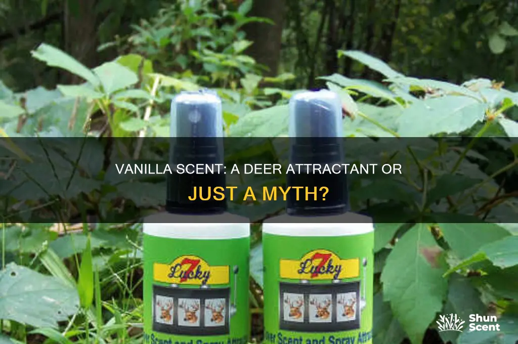 do deer like vanilla scent