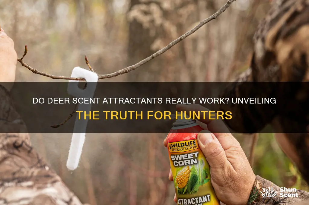 do deer scent attractants work