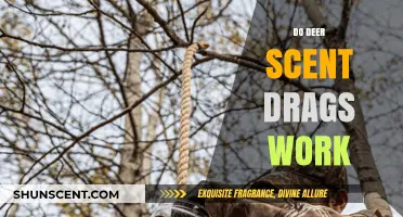 Do Deer Scent Drags Work? Uncovering the Truth for Hunters