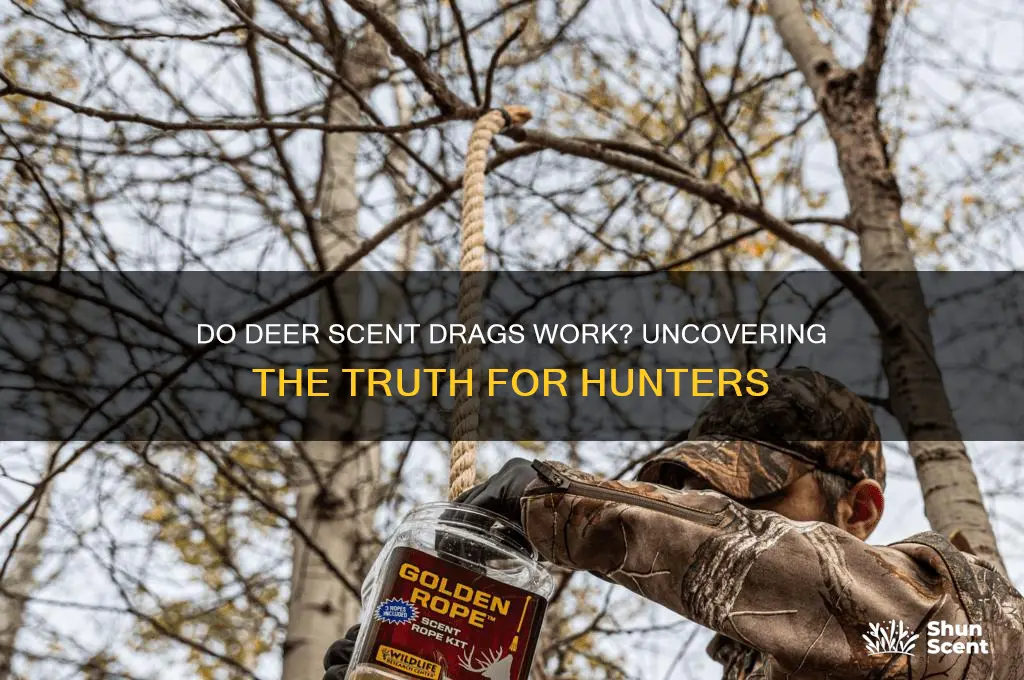 do deer scent drags work