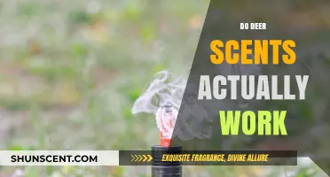 Do Deer Scents Work? Uncovering the Truth for Hunters