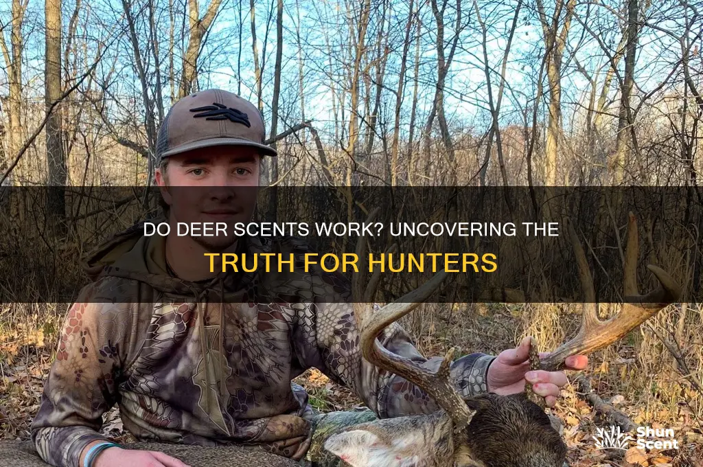 do deer scents actually work