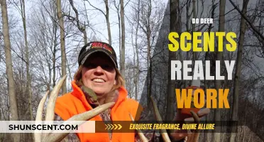 Do Deer Scents Really Work? Uncovering the Truth for Hunters