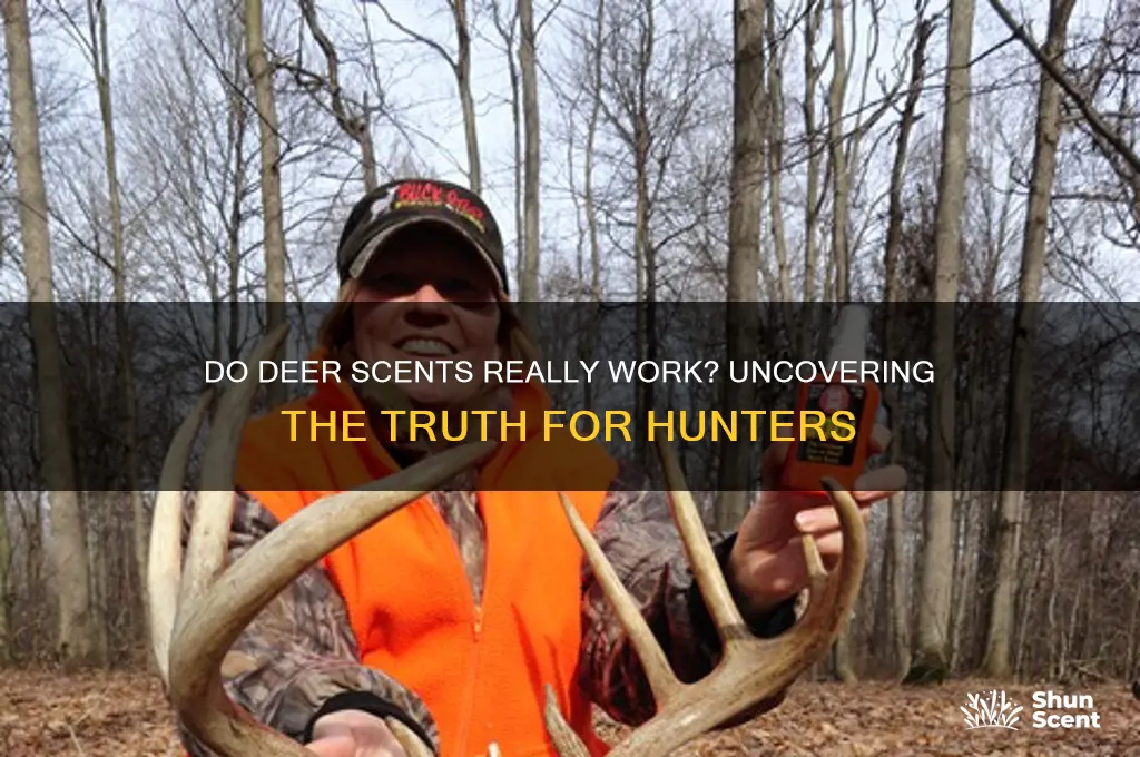 do deer scents really work