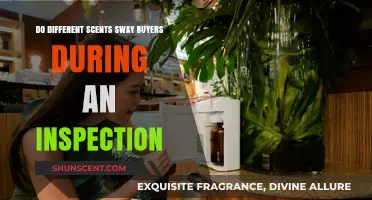 Scents and Sales: How Aromas Influence Buyer Decisions During Inspections