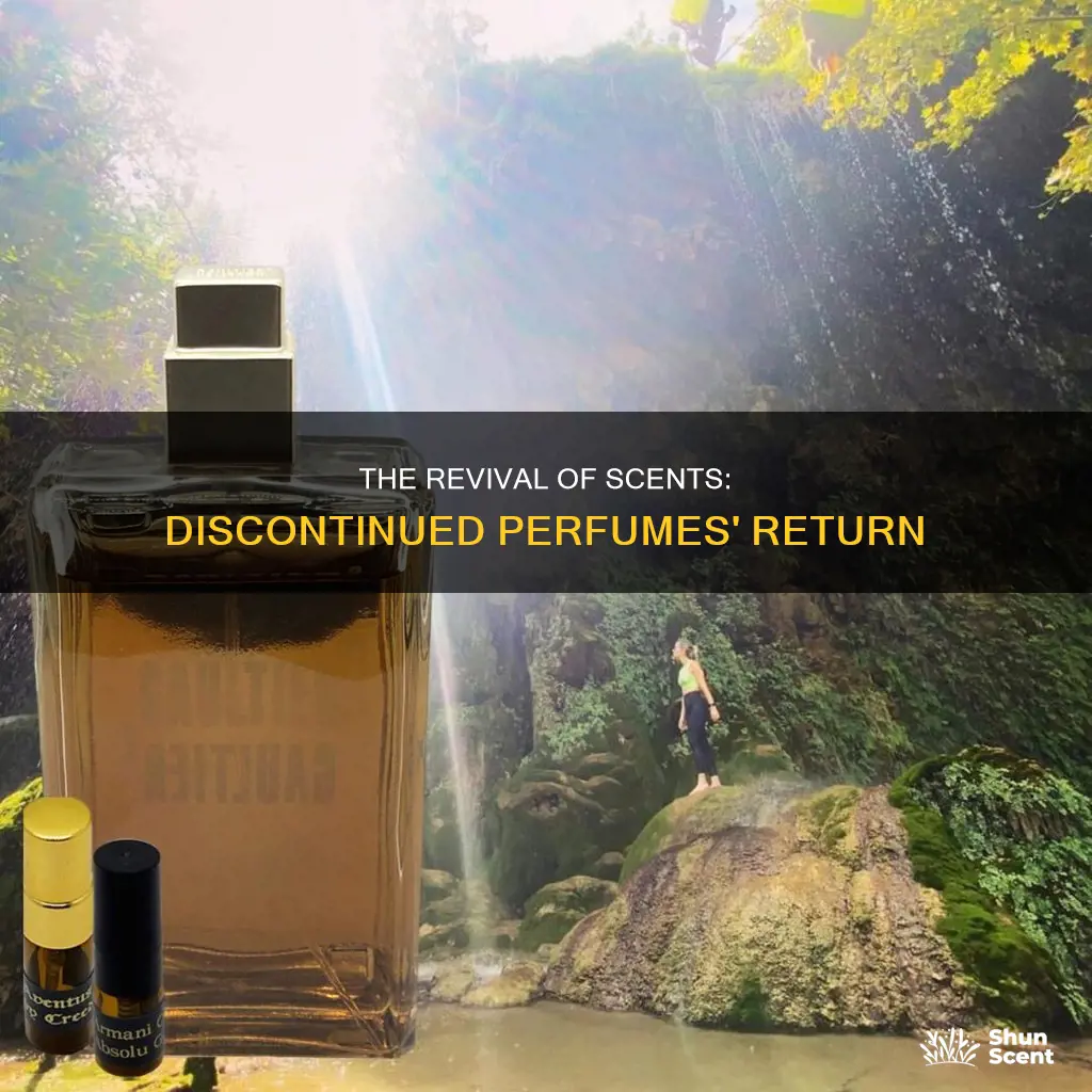 do discontinued perfumes ever come back