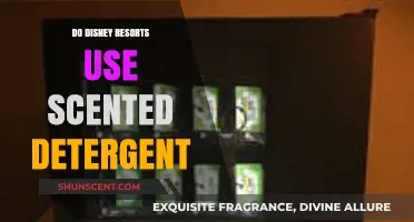 Disney Resorts' Laundry Secrets: Scented Detergent or Myth?