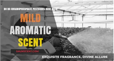 Do Organophosphate Pesticides Emit a Mild Aromatic Scent?