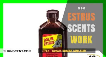 Do Doe Estrus Scents Really Work? Uncovering the Truth for Hunters