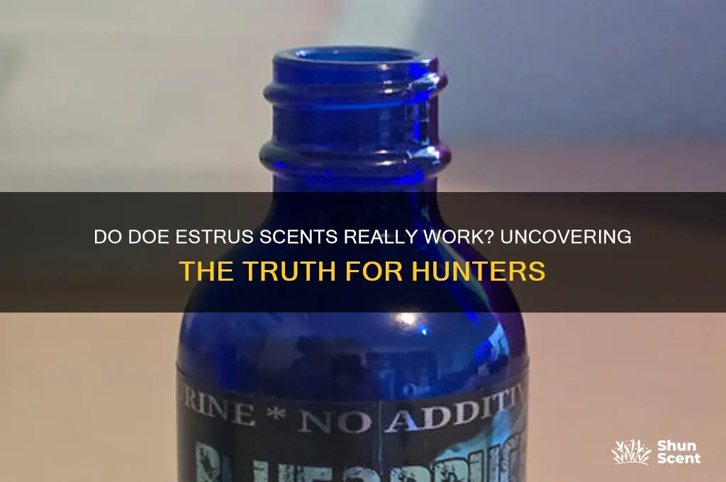 do doe estrus scents work